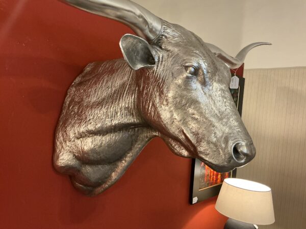 silver leaf longhorn bull