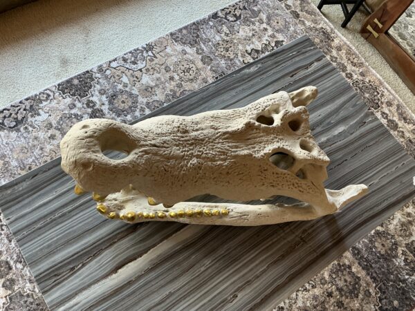 gold crocodile