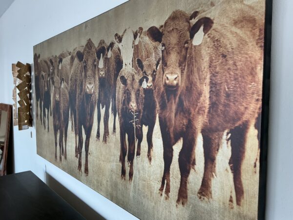 cow wall art