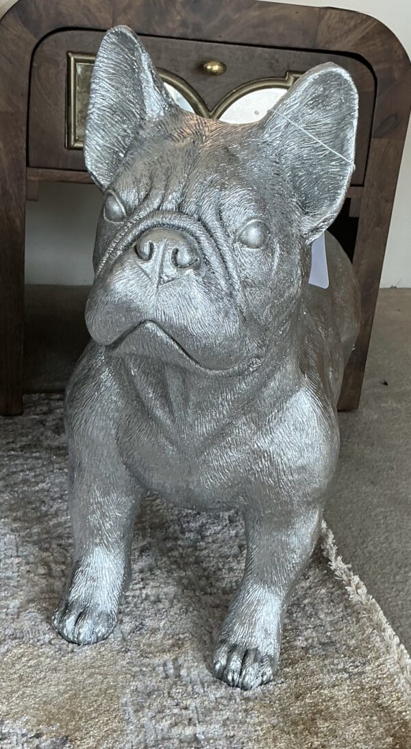 silver french bulldog