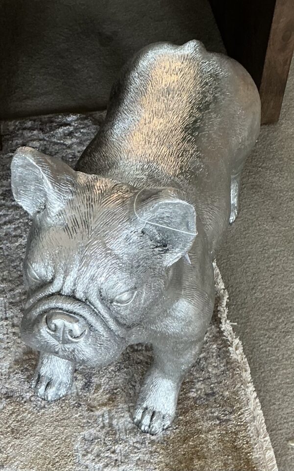 silver french bulldog