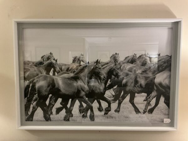 horse framed wall art