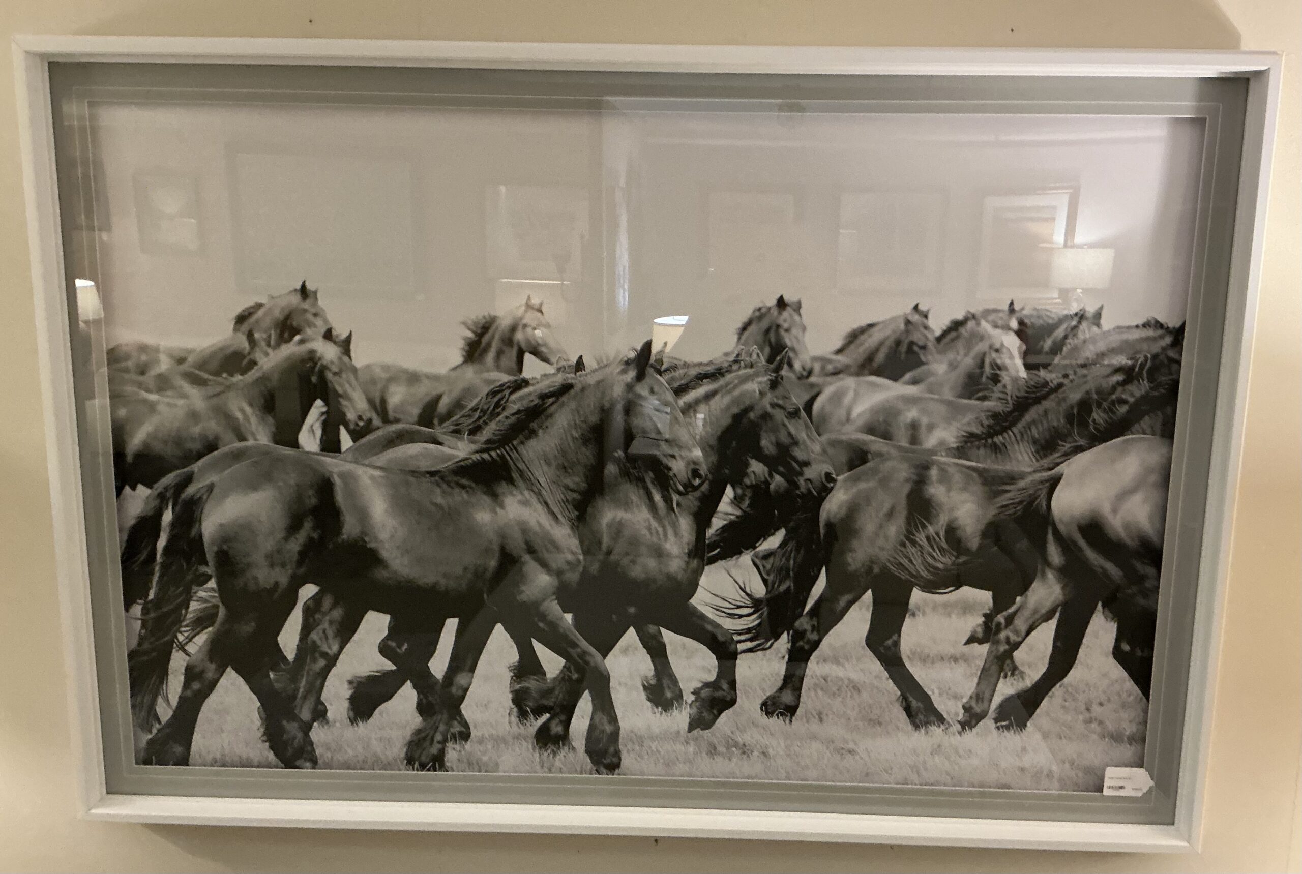 horse framed wall art