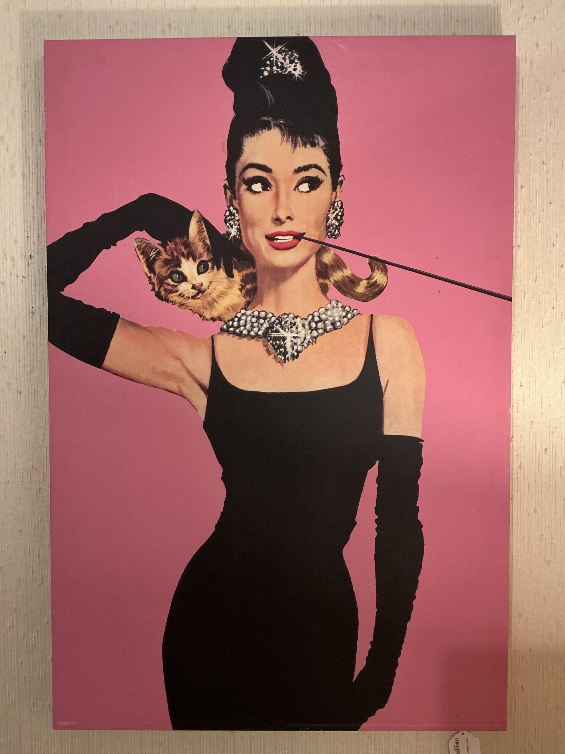 audrey hepburn art